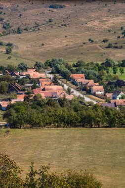 Romanya 'da bitki örtüsü, tarlaları ve evleri olan bir kırsal alan manzarası.