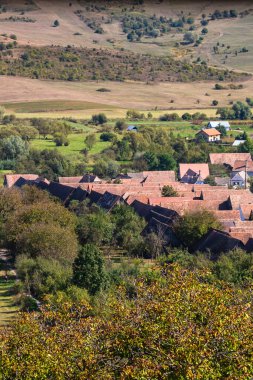 Romanya 'da bitki örtüsü, tarlaları ve evleri olan bir kırsal alan manzarası.