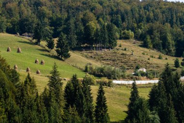 Harvested hay on a green field and against the mountains