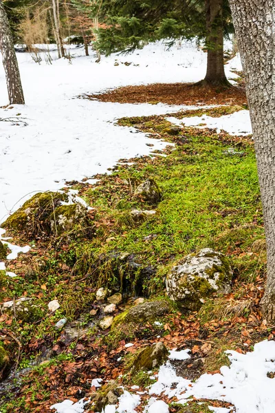 Donmuş manzaralı Avrupa kış manzarası