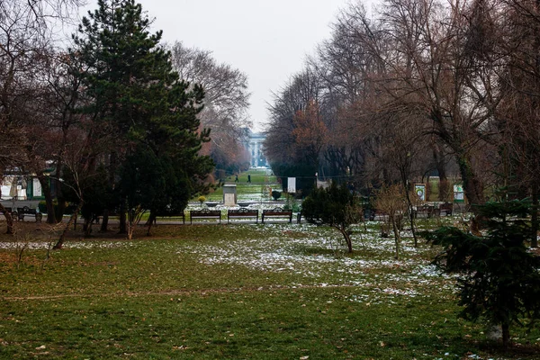 布加勒斯特Cismigiu公园的冬季场景 Cismigiu Gardens位于罗马尼亚布加勒斯特市中心 — 图库照片