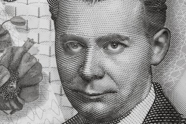 LEI banknotlarının detaylarına özen göster. Rumen LEI banknotlarının makro detaylarını kapat. Dünya para kavramı, enflasyon ve ekonomi kavramı