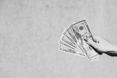 Amerikan doları. Birleşik Devletler Doları. ABD parası, enflasyon ve Amerikan doları