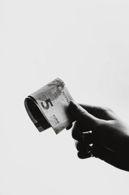 EURO banknote, photo of EUR currency. EUR money inflation in Europe