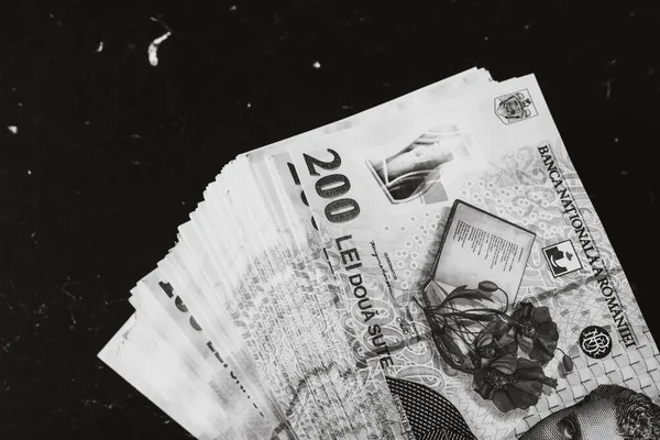 Bir Yığın Lei Romanya Parası Ron Leu Para Avrupa Para — Stok fotoğraf