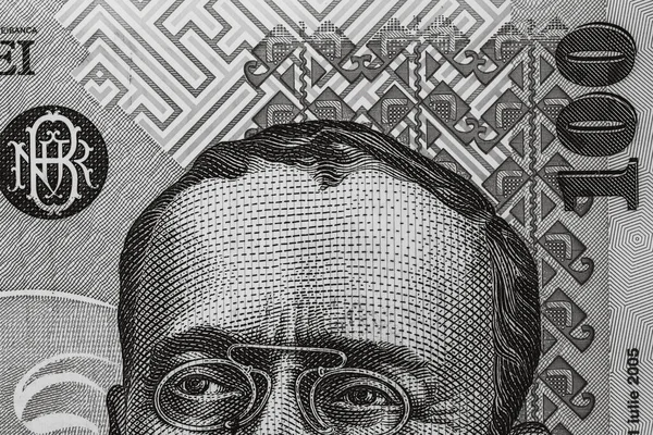 Selektivní Zaměření Podrobnosti Bankovkách Lei Uzavřít Makrodetail Rumunských Bankovek Lei — Stock fotografie