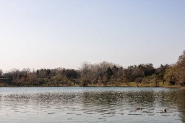 Tineretului park in Bucharest, Romania