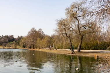 Tineretului park in Bucharest, Romania