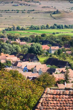 Romanya 'da bitki örtüsü, tarlaları ve evleri olan bir kırsal alan manzarası.