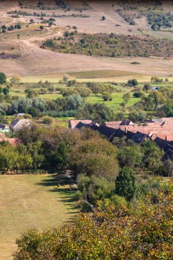 Romanya 'da bitki örtüsü, tarlaları ve evleri olan bir kırsal alan manzarası.