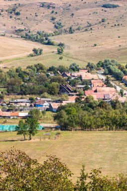 Romanya 'da bitki örtüsü, tarlaları ve evleri olan bir kırsal alan manzarası.