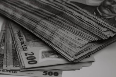 LEI banknotlarının ayrıntıları. Rumen LEI banknotlarının hisseleri. Dünya para kavramı, enflasyon ve ekonomi kavramı