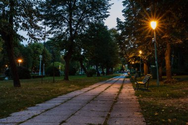 Empty bench at night in the park