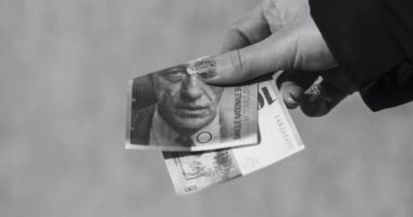 Stop Motion Texture of money. Concept - Finance Business Investment Success. EURO USD LEI