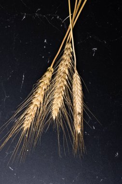 Buğday kulağı detayı. Mısır gevreği, un üretimi.