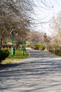 Autumn scenery with alley of fall leaves