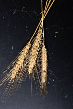 Buğday kulağı detayı. Mısır gevreği, un üretimi.