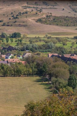 Romanya 'da bitki örtüsü, tarlaları ve evleri olan bir kırsal alan manzarası.