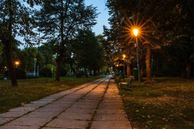 Empty bench at night in the park