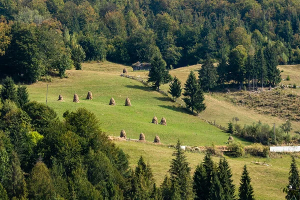 stock image Harvested hay on a green field and against the mountains