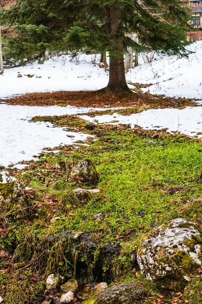 凍結風景とヨーロッパの冬の風景 — ストック写真