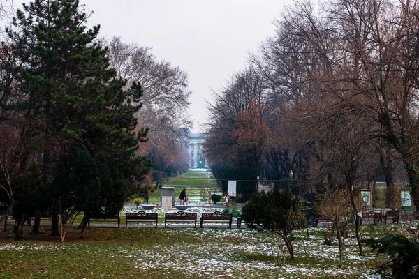 Cismiigiu公園ブカレストの冬のシーン ルーマニアのブカレストのダウンタウンに位置するCismiiu Gardens — ストック写真