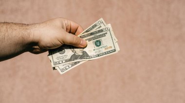 Amerikan Doları. ABD enflasyonu, ABD parası