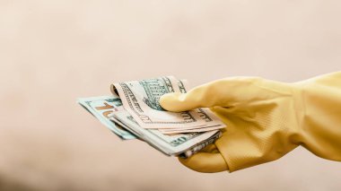 Amerikan Doları. ABD enflasyonu, ABD parası