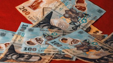 Romanya LEI Para Birimi Banknotu. RON Para Avrupa Para Birimi