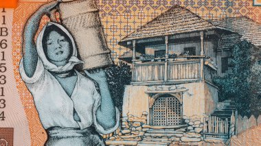 Romanya LEI Para Birimi Banknotu. RON Para Avrupa Para Birimi