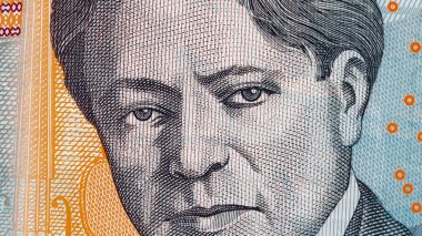 Romanya LEI Para Birimi Banknotu. RON Para Avrupa Para Birimi