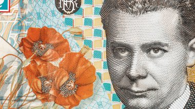 Romanya LEI Para Birimi Banknotu. RON Para Avrupa Para Birimi