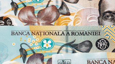 Romanya LEI Para Birimi Banknotu. RON Para Avrupa Para Birimi