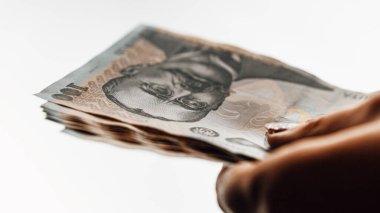 Romanya LEI Para Birimi Banknotu. RON Para Avrupa Para Birimi