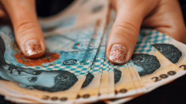 Romanya LEI Para Birimi Banknotu. RON Para Avrupa Para Birimi
