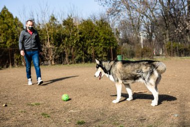 Beautiful city park and people having fun in Bucharest, Romania, 2023