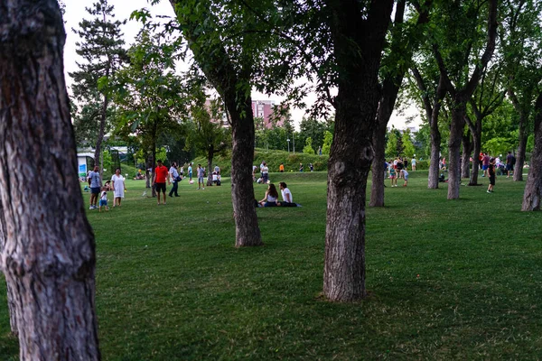 Bellissimo Parco Cittadino Persone Che Divertono Bucarest Romania 2023 — Foto Stock