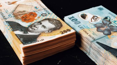 Romanya LEI Para Birimi Banknotu. RON Para Avrupa Para Birimi