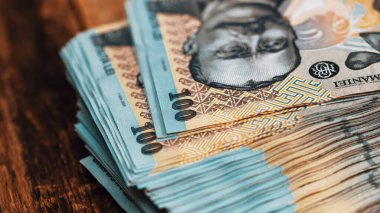 Romanya LEI Para Birimi Banknotu. RON Para Avrupa Para Birimi