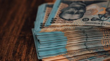 Romanya LEI Para Birimi Banknotu. RON Para Avrupa Para Birimi