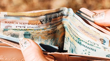 Romanya LEI Para Birimi Banknotu. RON Para Avrupa Para Birimi