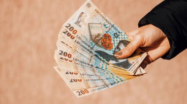 Romanya LEI Para Birimi Banknotu. RON Para Avrupa Para Birimi