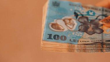 Romanya LEI Para Birimi Banknotu. RON Para Avrupa Para Birimi