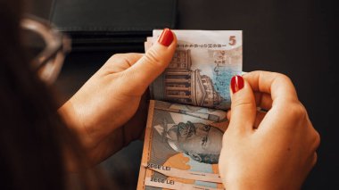 Romanya LEI Para Birimi Banknotu. RON Para Avrupa Para Birimi