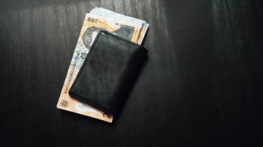 Romanya LEI Para Birimi Banknotu. RON Para Avrupa Para Birimi