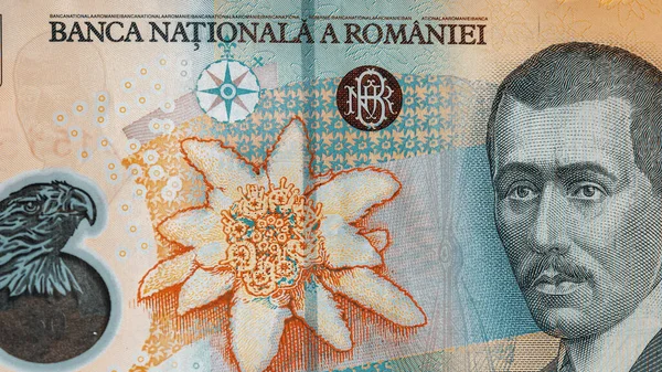Banknot Walutowy Lei Rumuński Waluta Europejska Ron Money — Zdjęcie stockowe