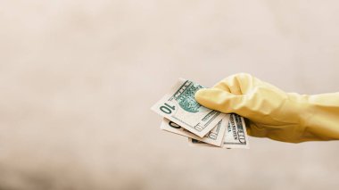 Amerikan Doları. ABD enflasyonu, ABD parası