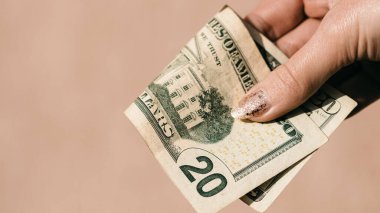 Amerikan Doları. ABD enflasyonu, ABD parası