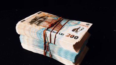 Romanya LEI Para Birimi Banknotu. RON Para Avrupa Para Birimi