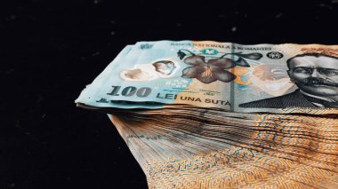 Romanya LEI Para Birimi Banknotu. RON Para Avrupa Para Birimi